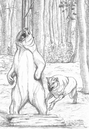 Der Bear und der Wolf