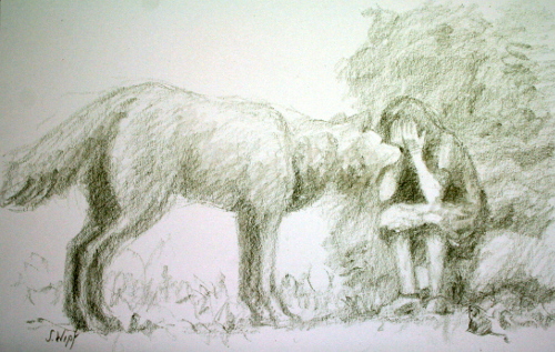 Merak mit Solfina Shaula - Solie gennant