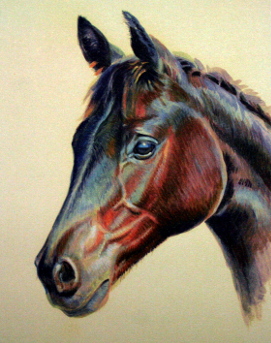 braunes Pferd gemalt